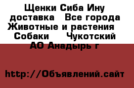 Щенки Сиба Ину доставка - Все города Животные и растения » Собаки   . Чукотский АО,Анадырь г.